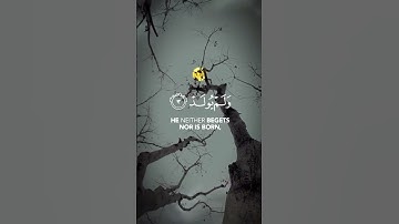 سورة الإخلاص الشيخ ادريس أبكر