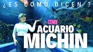 MICHIN AQUARIUM CDMX 🇲🇽IS IT WHAT IT LOOKS LIKE? SUGGESTIONS, TRANSPORTATION AND MORE!