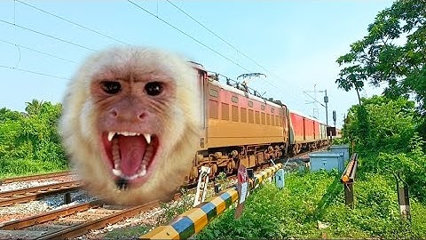 Dangerous MAD MONKEY Headed Bengaluru New Tinsukia Express Furious Moving Out At Railgate