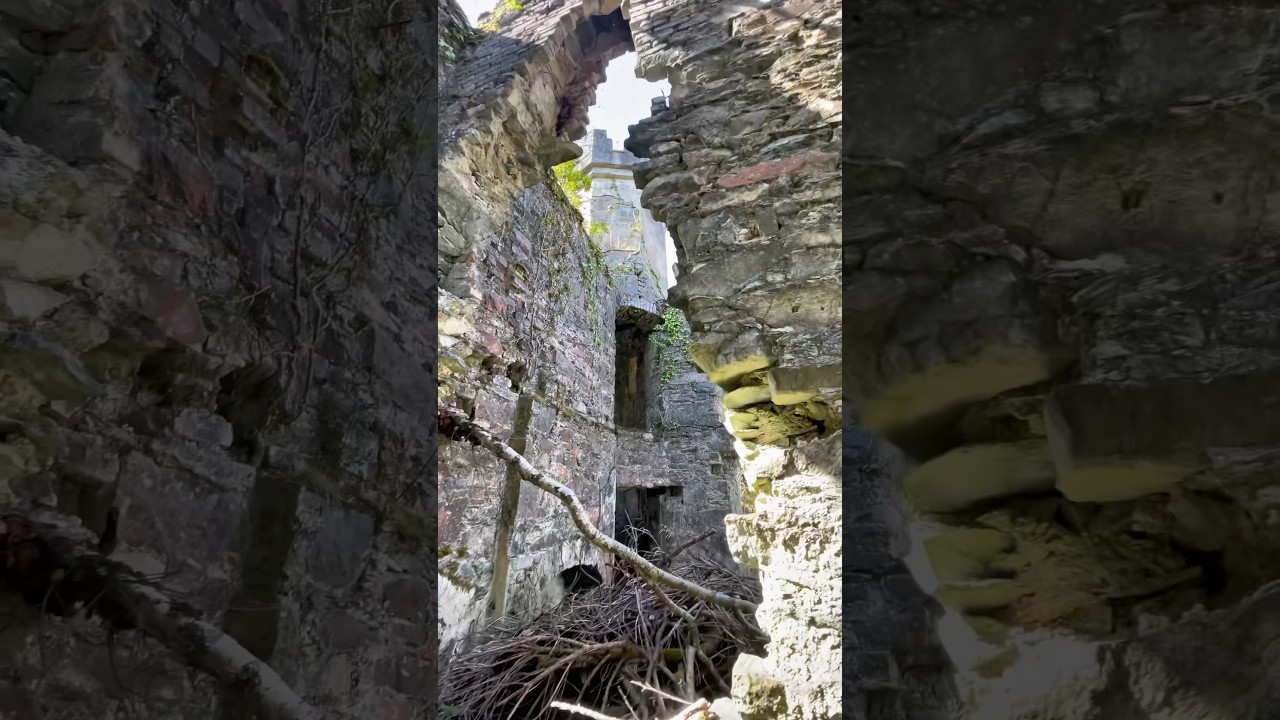 Abandoned castle in Ireland 🇮🇪 
