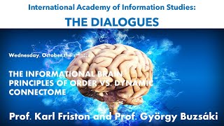 The Informational Brain: Principles of Order vs. Dynamic Connectome