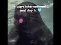 Seal! 🦭