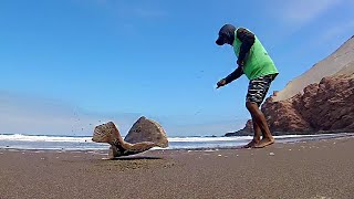 Pesca con pelitos brillantes - Nuevo señuelo efectivo para pescar los lenguados