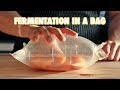 The Easiest Way To Ferment Any Fruit (Lacto-Fermentation)