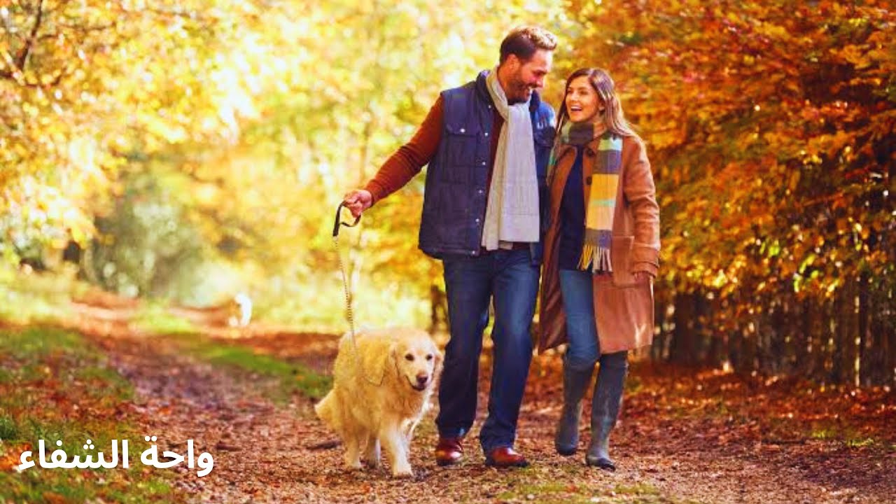 توأم روحك يتواصل معك فى هذا الفيديو و يشرح لك تفاصيل شخصيته و عمق حبكم فى المستقبل