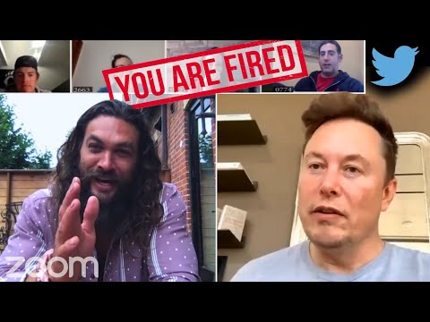 Elon Musk Twitter Meeting with Jason Momoa Fires Employees DUB