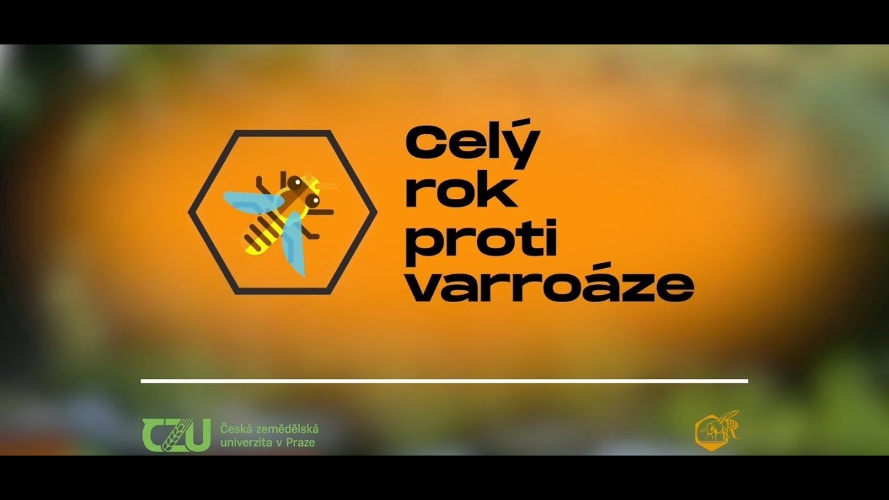 Celý rok proti varroáze 2025