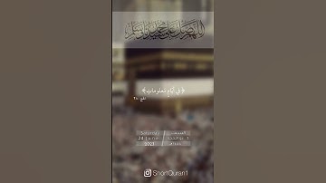 سورة الحج أيه (27،28).