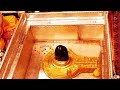 Live Sai Darshan |online tv live |Free online TV streaming| live tv