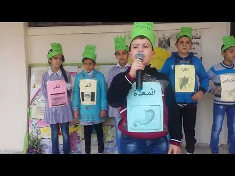 قصيدة عن الجهاز الهضمي قدمها طلاب الصف الرابع أ