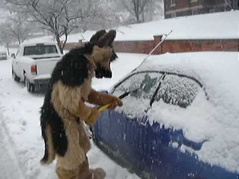 Ford Shepherd Scrapes Ice Off a Car
