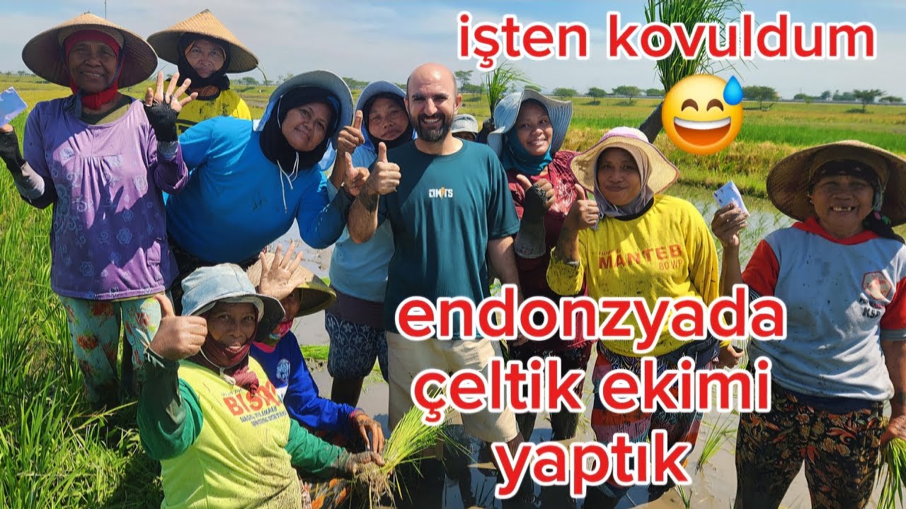 Endonezyada çeltik ekimi yaptık işten kovuldum😊