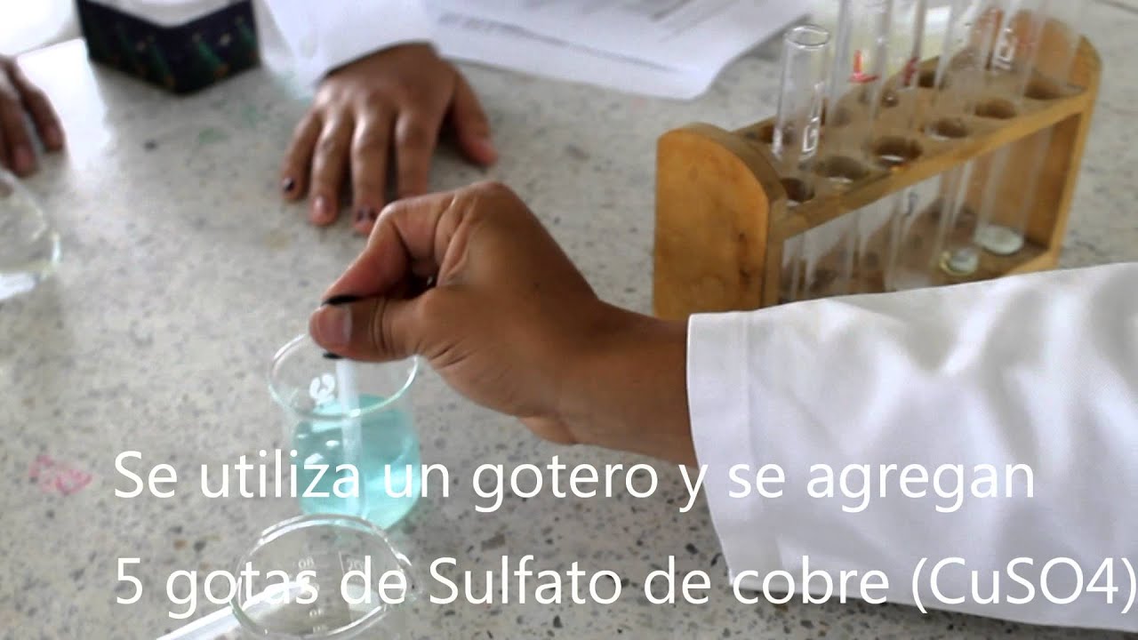 Determinación de proteínas en alimentos. YouTube Determinación de proteínas en alimentos. YouTube