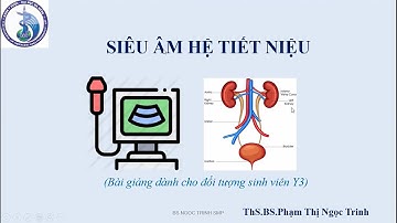 Siêu âm hệ tiết niệu - CDHA