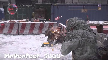 The Division Rogue or Nah