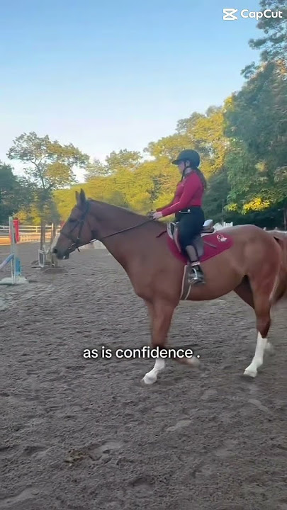 I told them I didn’t wanna canter I was scared .￼