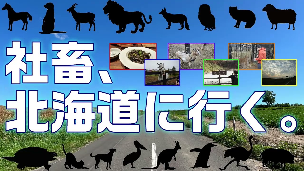 社畜、北海道に行く。Part4