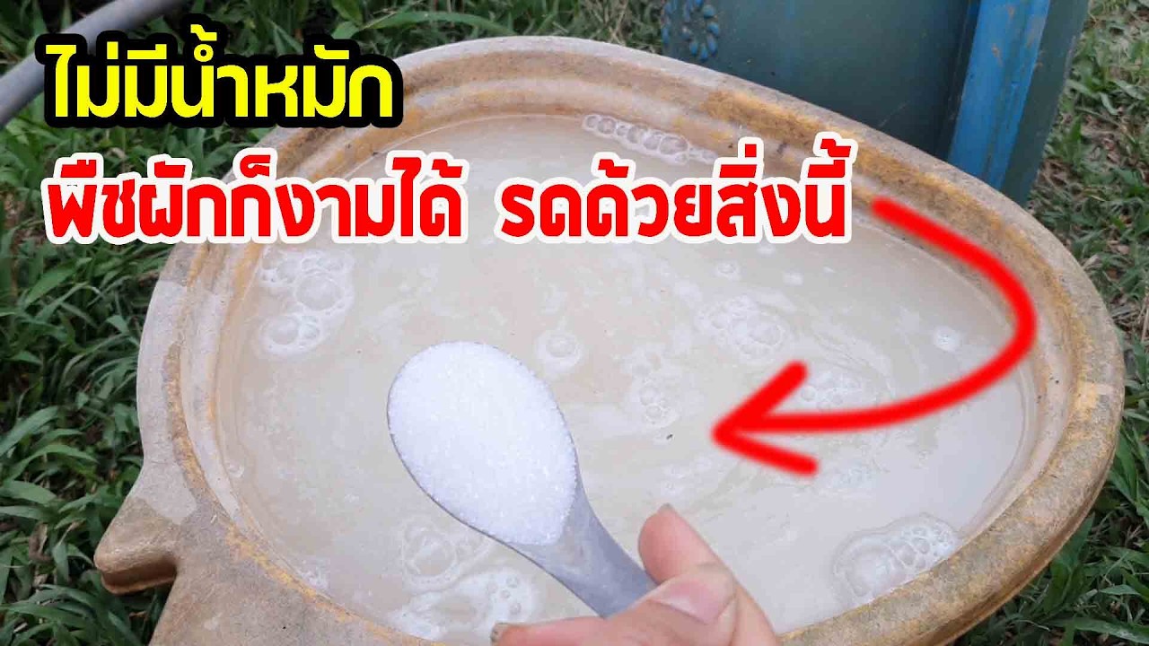 Даже без добавления ферментированной жидкости... ваши растения будут прекрасно расти, просто поли...