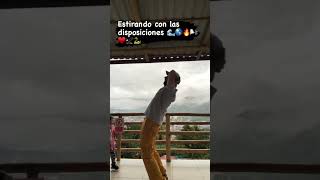 Estirarse, un hábito que te puede cambiar la vida.