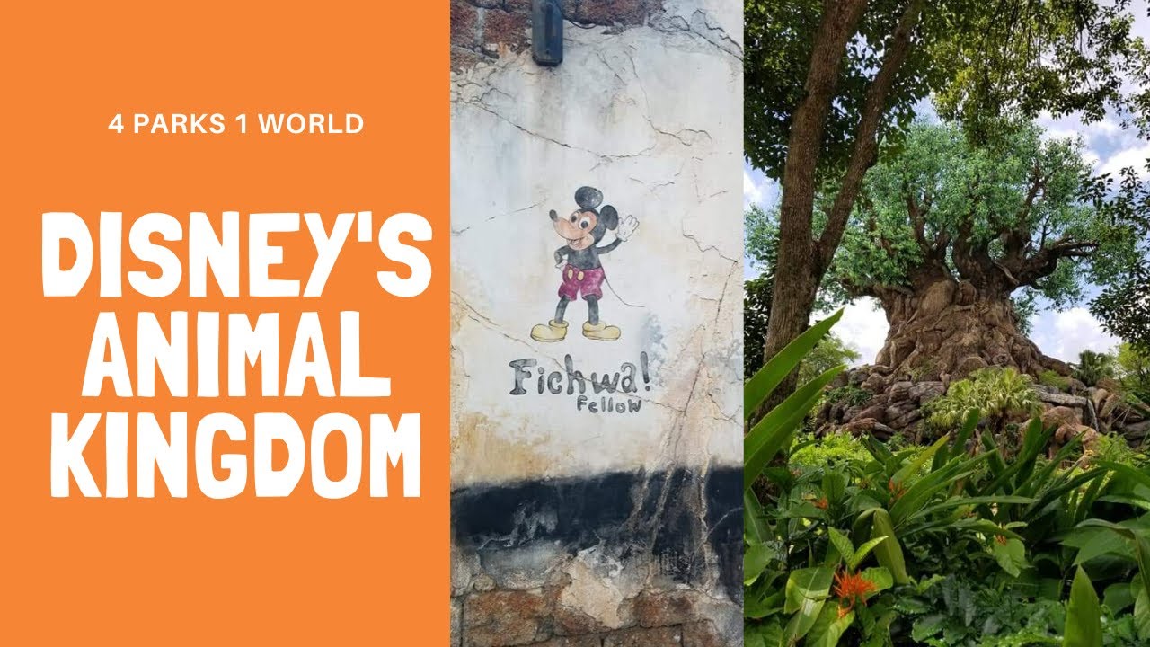 GET TO KNOW DISNEY'S ANIMAL KINGDOM | Intro into Animal Kingdom | First