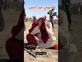 خروج عن النص في تشابية واقعة الطف موكب شهيد الجمعة خروج عن النص في تشابية واقعة الطف موكب شهيد الجمعة