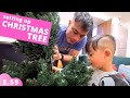 Setting Up Our Christmas Tree in Japan E.59