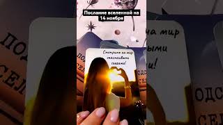 Послание вселенной на сегодня💫☘️ #таро #тароонлайн #послание #посланиевселенной #силатаро #shorts