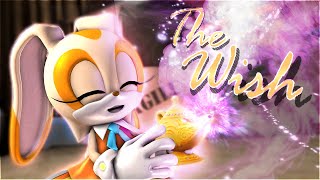 Sonic Sfm Animation Tomska - The Wish