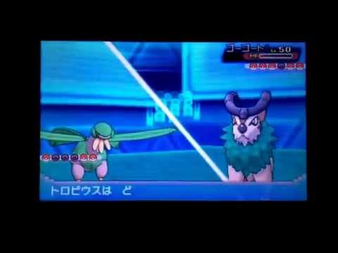 ポケモンアルファサファイア。タイプ統一戦。草ＶＳ草