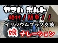 【ヤマハ　ボルト】イリジウムNGK　MotoDXに交換してみた。YAMAHA　BOLT　バンス＆ハインズ　VANS&HINES　ふうたん遊道。