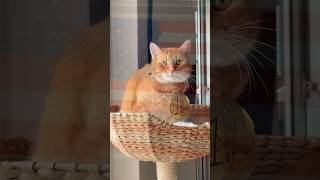 Penny’s wins her 2nd gold medal 🥇