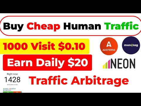Guaranteed Targeted Web Traffic