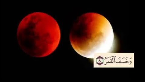 ِAya Abd سوره القيامه