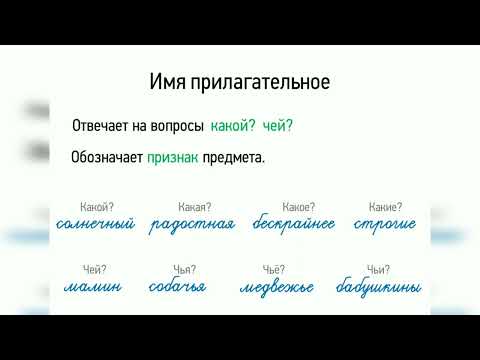 Какой? Чей? #viral #new #video #grammar #sub #russia #rek #learn #language #русский #like #success