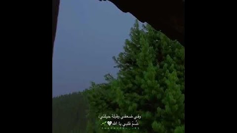 قران كريم بصوت القارئ: شريف مصطفى💚|| أجمل حالات واتس اب دينية🌱تلاوة خاشعةQuran status أرح سمعك وقلبك