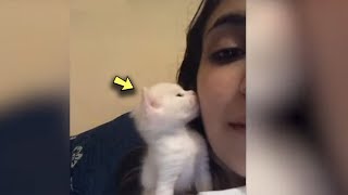 The Owner Kissed the Little Kitten On Camera  His Reaction Touched the Whole Internet! screenshot 3