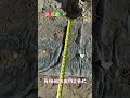 在美国无城市排水系统的别墅如何处理污水-火烧房改造(6)