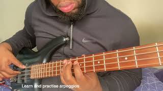 Seben Bass Mastery Tutorial: Basics