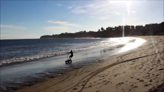 Beach Board in Paradise Cove