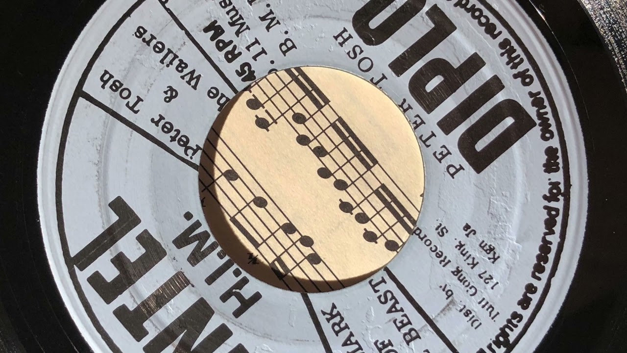 Peter Tosh and the Wailers - the Mark of the Beast / Version