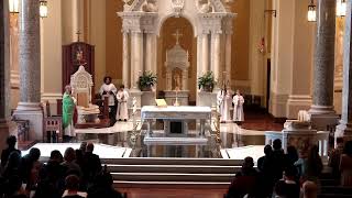 15th Sunday in Ordinary Time l Cathedral of the Immaculate Conception