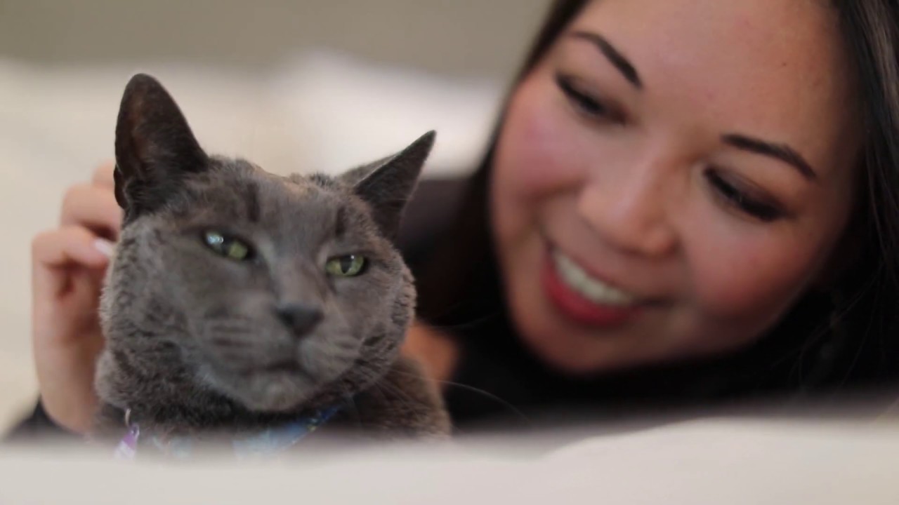 How We Got Mr. Frank YouTube