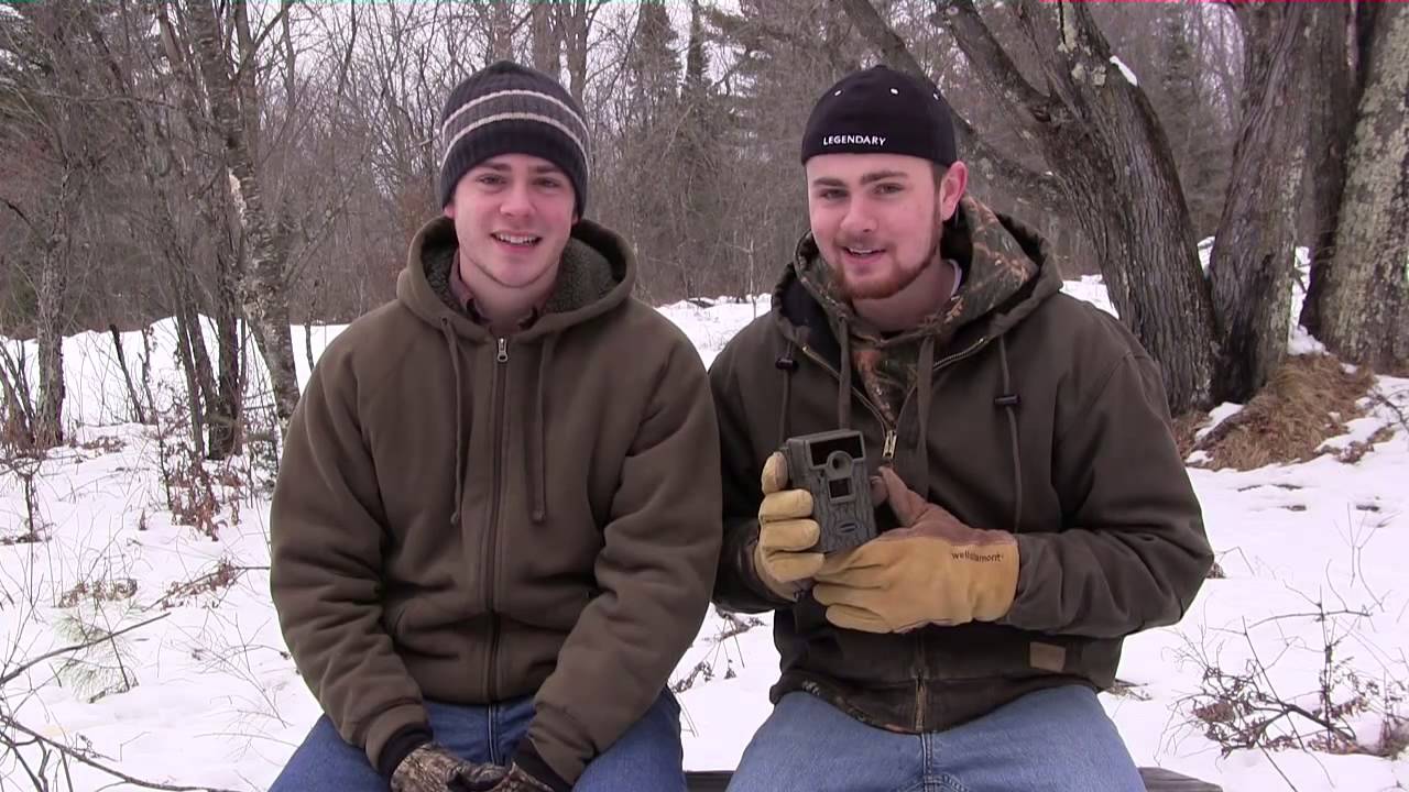 Tips for Finding Shed Antlers - YouTube