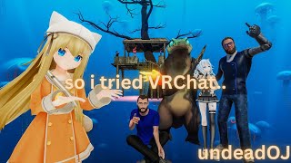 What 20 Minutes VRChat Looks Like...