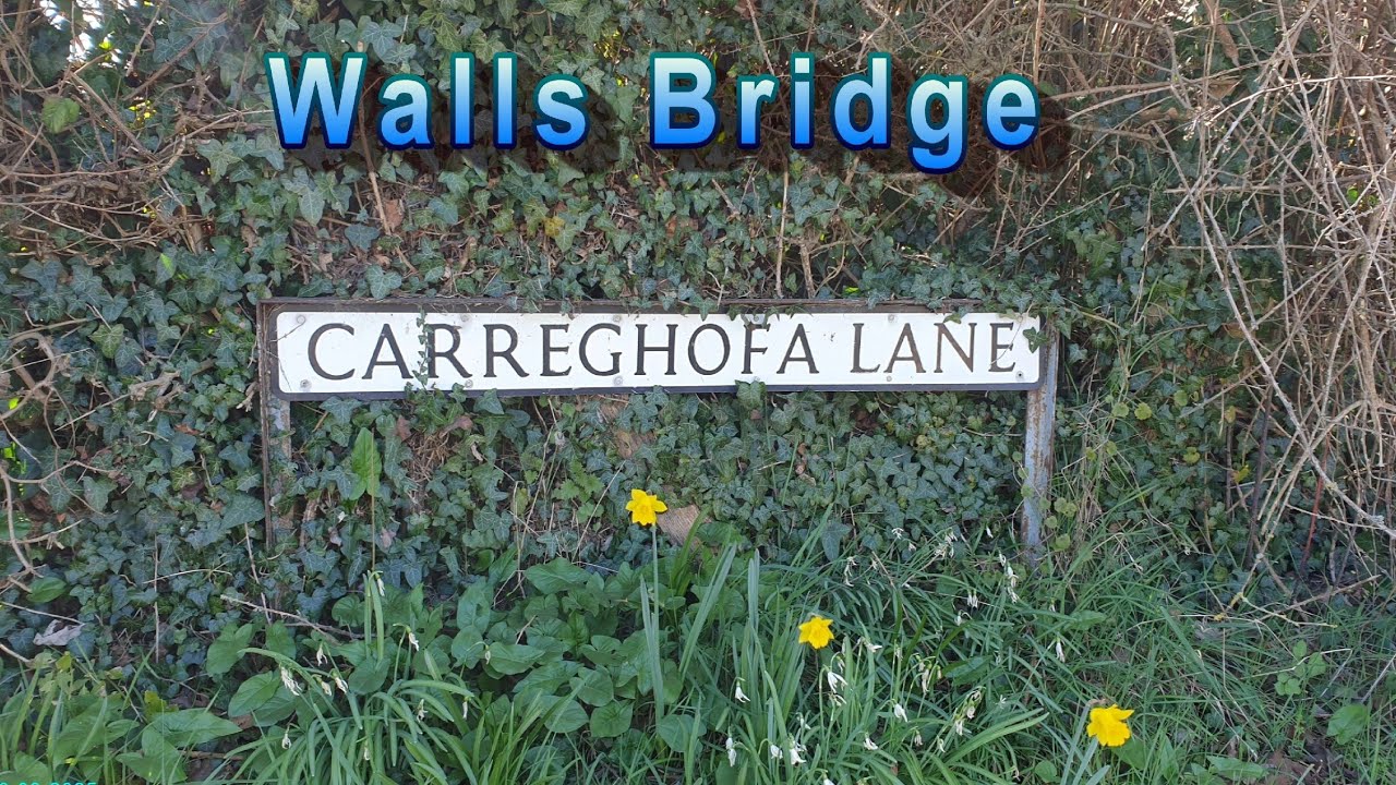 walls bridge Montgomery canal 23 10 2025