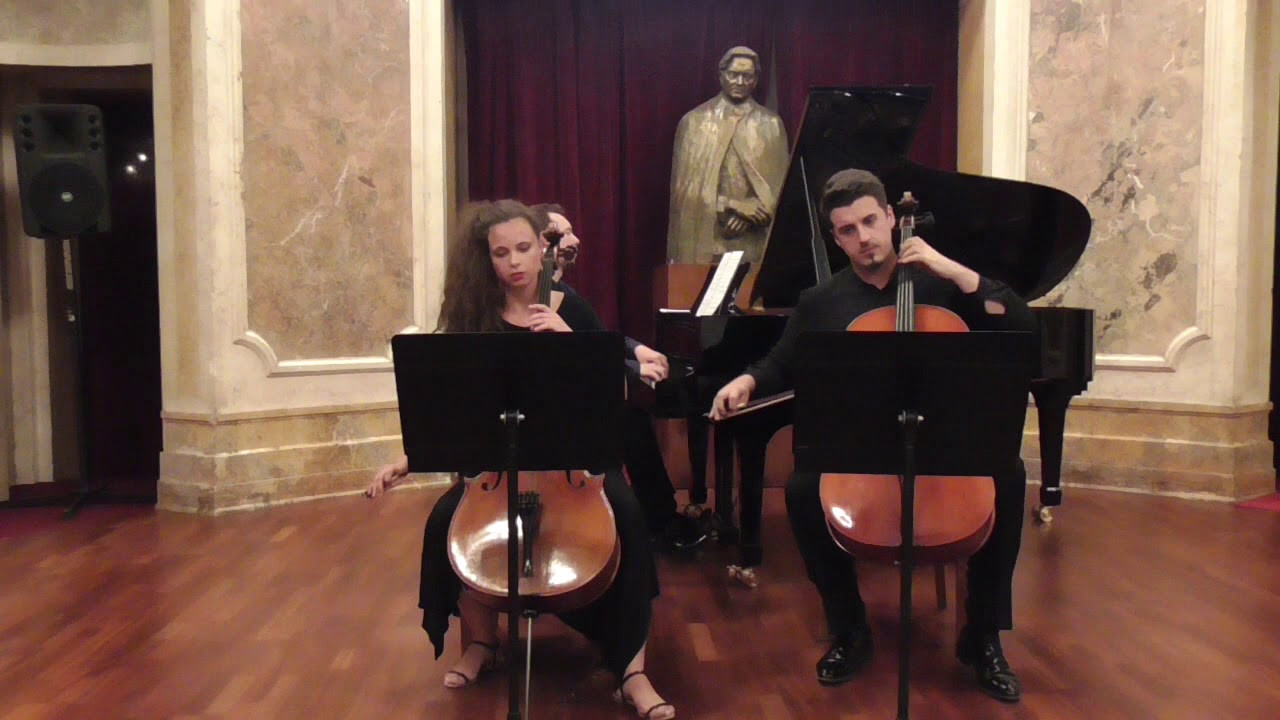 Aurelian Bacan: A Glimpse of the Star Trek Universe (Duo Cello Jaya & Iulian Ochescu)