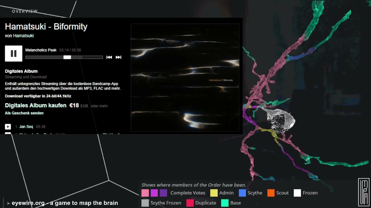 Hamatsuki - Biformity 2025