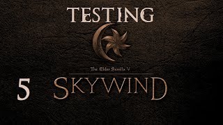 Testing Skywind Part 5