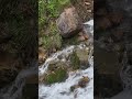 Nanay sharsharasi +998911376341 #nature #waterfall #lake #travel #relax #mountains #water #summer