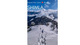 Part - 1 Shimla Tourist Places | Shimla Tour Guide | Shimla Himachal - iamsolotraveller